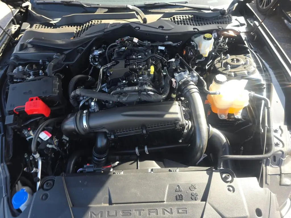 Florida Fine Cars - Used FORD MUSTANG 2024 ORLANDO ECOBOOST