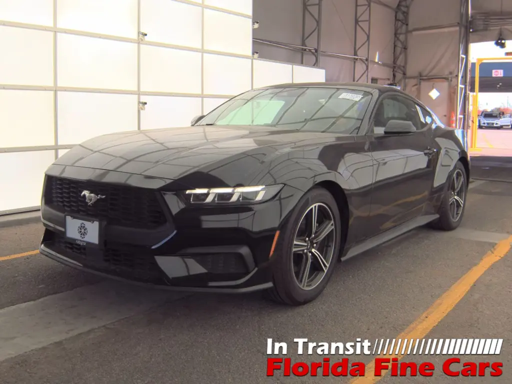 Florida Fine Cars - Used FORD MUSTANG 2024 ORLANDO ECOBOOST