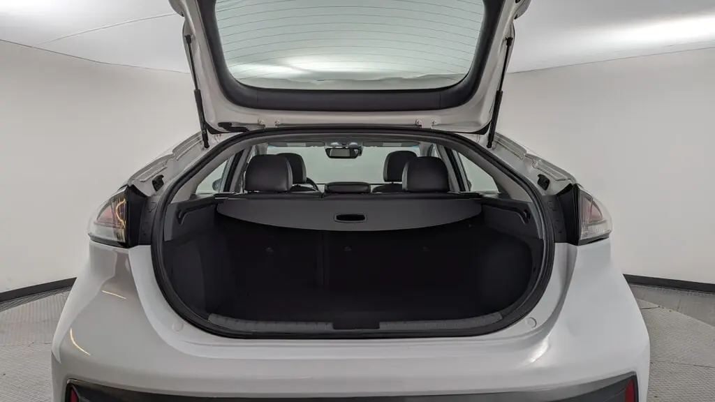 Florida Fine Cars - Used HYUNDAI IONIQ ELECTRIC 2020 WEST PALM LIMITED