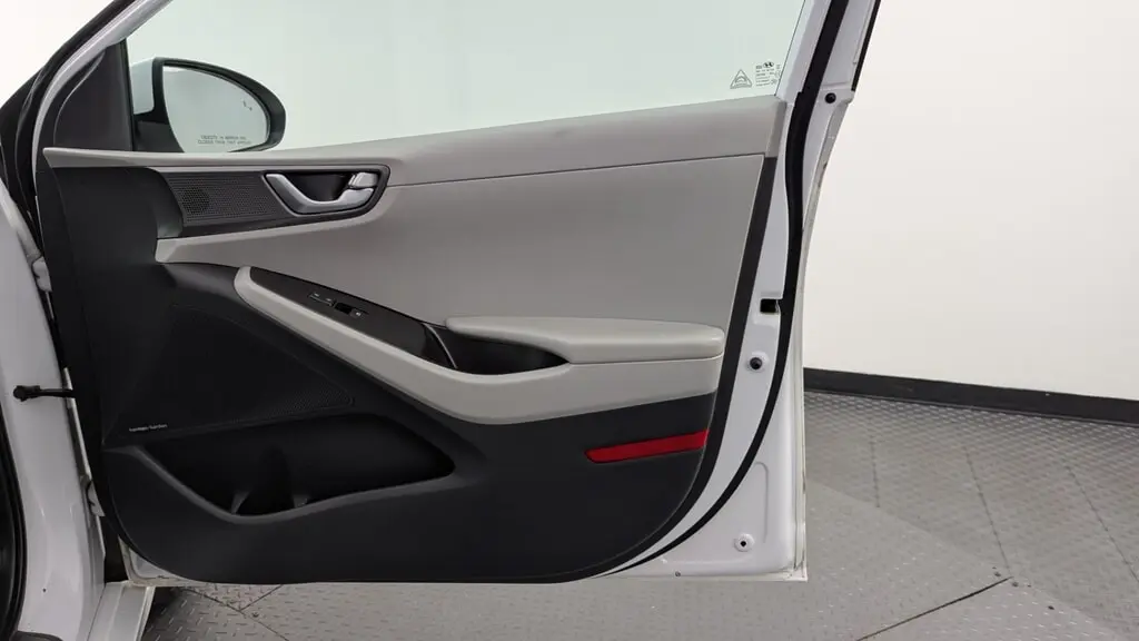 Florida Fine Cars - Used HYUNDAI IONIQ ELECTRIC 2020 WEST PALM LIMITED