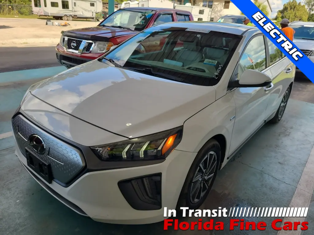 Florida Fine Cars - Used HYUNDAI IONIQ ELECTRIC 2020 WEST PALM LIMITED