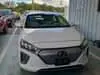 Florida Fine Cars - Used HYUNDAI IONIQ ELECTRIC 2020 WEST PALM LIMITED