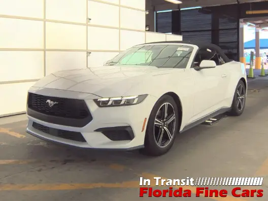 Florida Fine Cars - Used FORD MUSTANG 2024 ORLANDO ECOBOOST PREMIUM