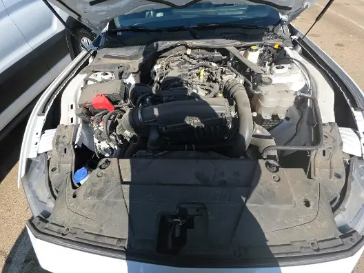 Florida Fine Cars - Used FORD MUSTANG 2024 ORLANDO ECOBOOST PREMIUM