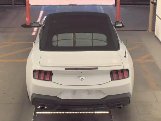 Florida Fine Cars - Used FORD MUSTANG 2024 ORLANDO ECOBOOST PREMIUM