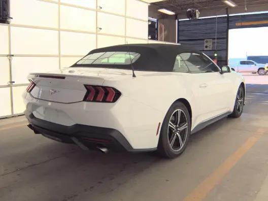 Florida Fine Cars - Used FORD MUSTANG 2024 ORLANDO ECOBOOST PREMIUM