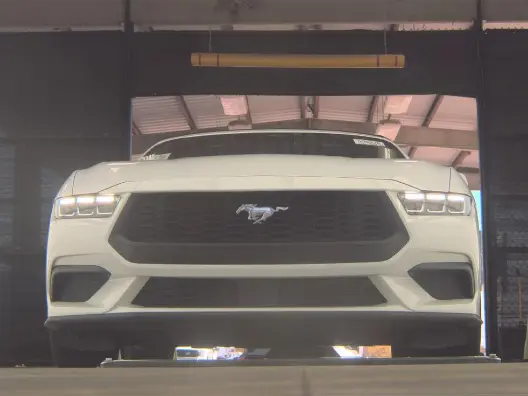 Florida Fine Cars - Used FORD MUSTANG 2024 ORLANDO ECOBOOST PREMIUM