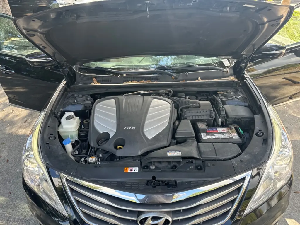 Florida Fine Cars - Used HYUNDAI AZERA 2017 WEST PALM LIMITED