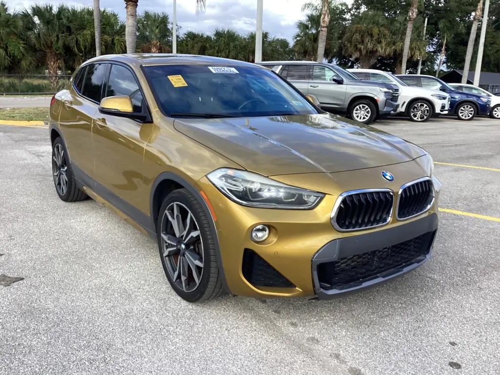 2018 Bmw X2 xDrive28i photo 2