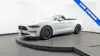 Florida Fine Cars - Used FORD MUSTANG 2023 MIAMI ECOBOOST PREMIUM