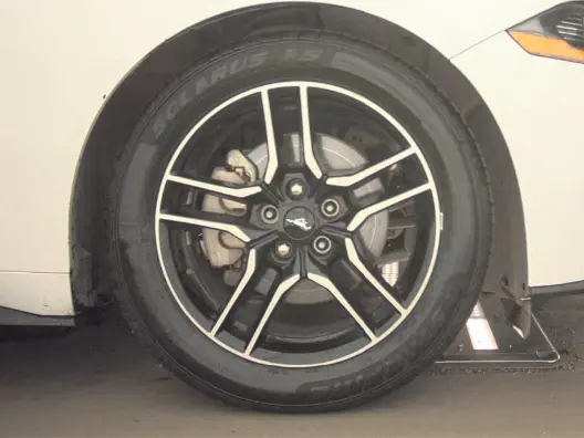 Florida Fine Cars - Used FORD MUSTANG 2023 MIAMI ECOBOOST PREMIUM