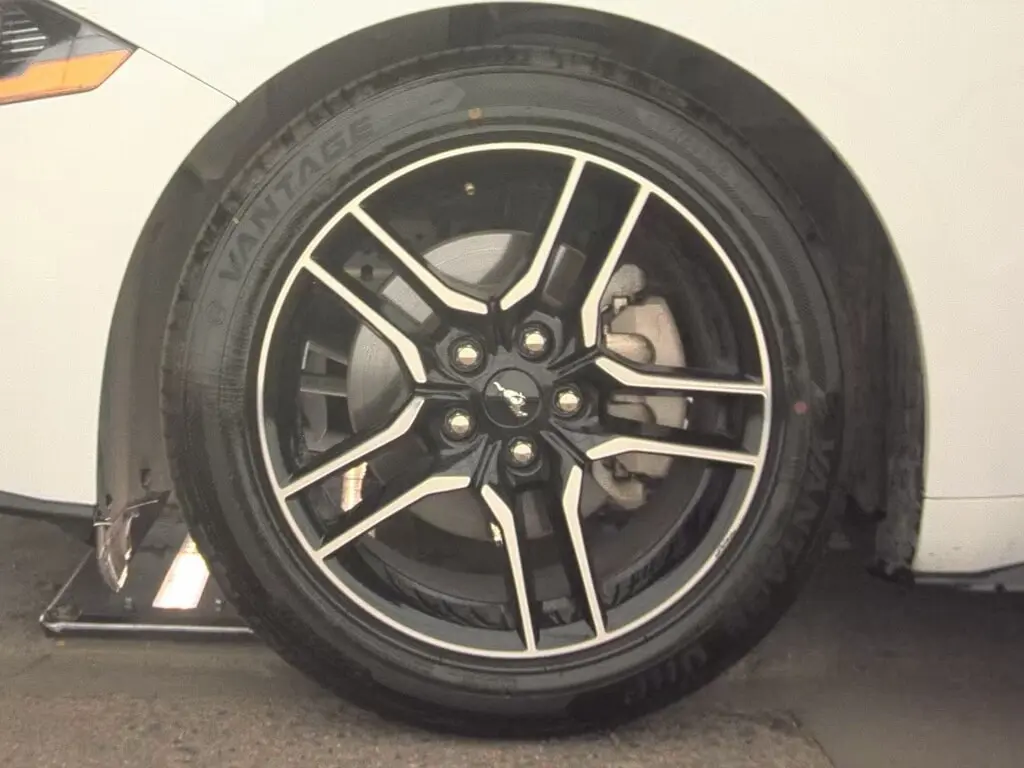 Florida Fine Cars - Used FORD MUSTANG 2023 MIAMI ECOBOOST PREMIUM