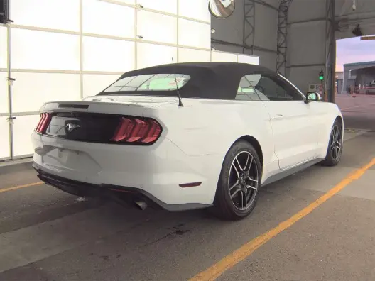 Florida Fine Cars - Used FORD MUSTANG 2023 MIAMI ECOBOOST PREMIUM