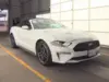Florida Fine Cars - Used FORD MUSTANG 2023 MIAMI ECOBOOST PREMIUM