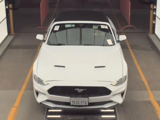 Florida Fine Cars - Used FORD MUSTANG 2023 MIAMI ECOBOOST PREMIUM