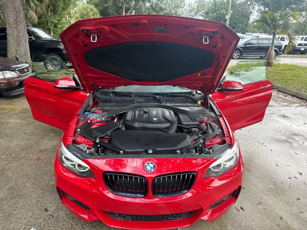 Florida Fine Cars - Used BMW 2 SERIES 2020 WEST PALM 230I