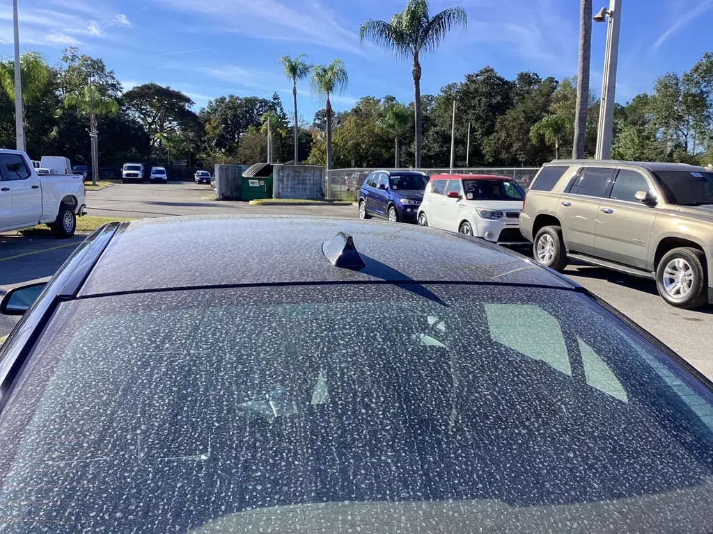 Florida Fine Cars - Used BMW 5 SERIES 2016 ORLANDO 535I XDRIVE