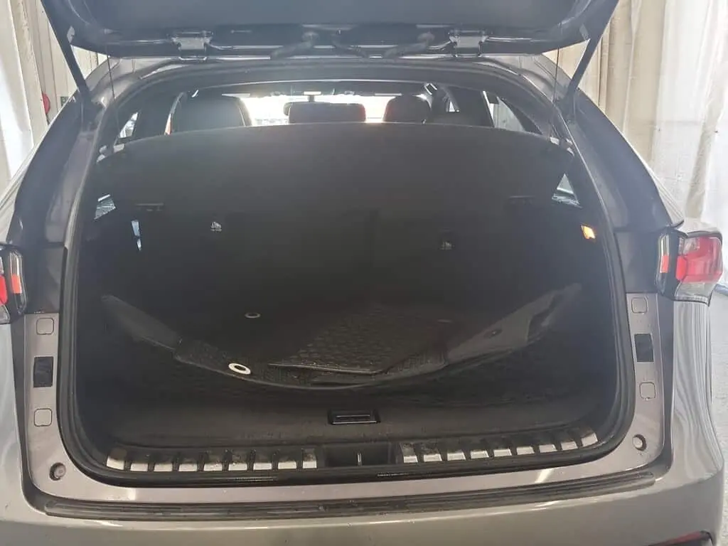 Florida Fine Cars - Used LEXUS NX 2017 WEST PALM NX TURBO F SPORT