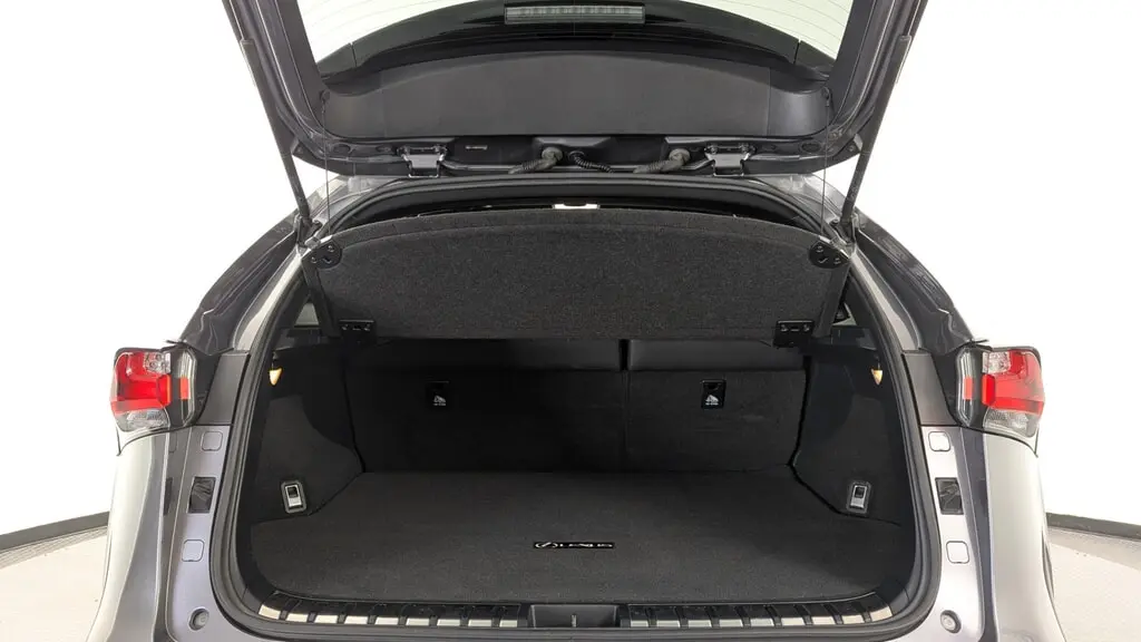 Florida Fine Cars - Used LEXUS NX 2017 WEST PALM NX TURBO F SPORT