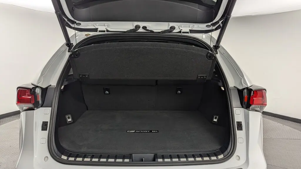 Florida Fine Cars - Used LEXUS NX 2020 WEST PALM NX 300 F SPORT