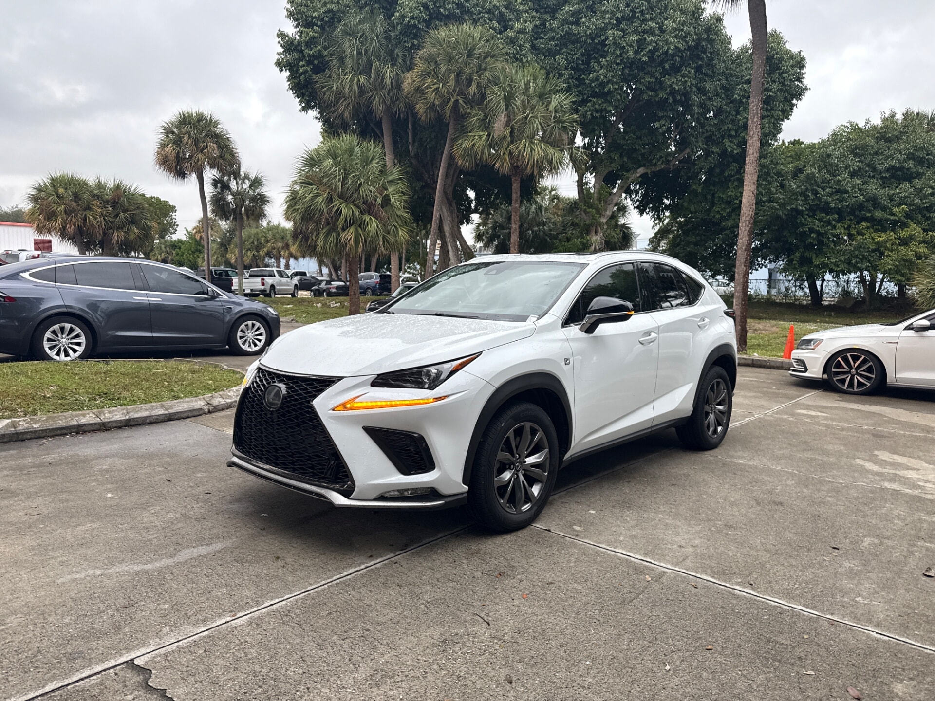 2020 Lexus NX 300 F SPORT's photo