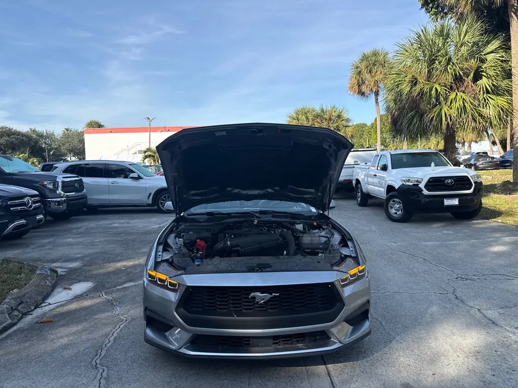 Florida Fine Cars - Used FORD MUSTANG 2024 WEST PALM ECOBOOST PREMIUM