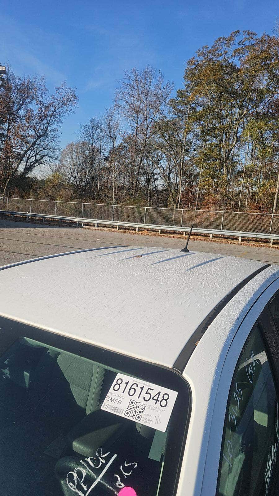 Florida Fine Cars - Used CHEVROLET COLORADO 2020 MIAMI 2WD WORK TRUCK