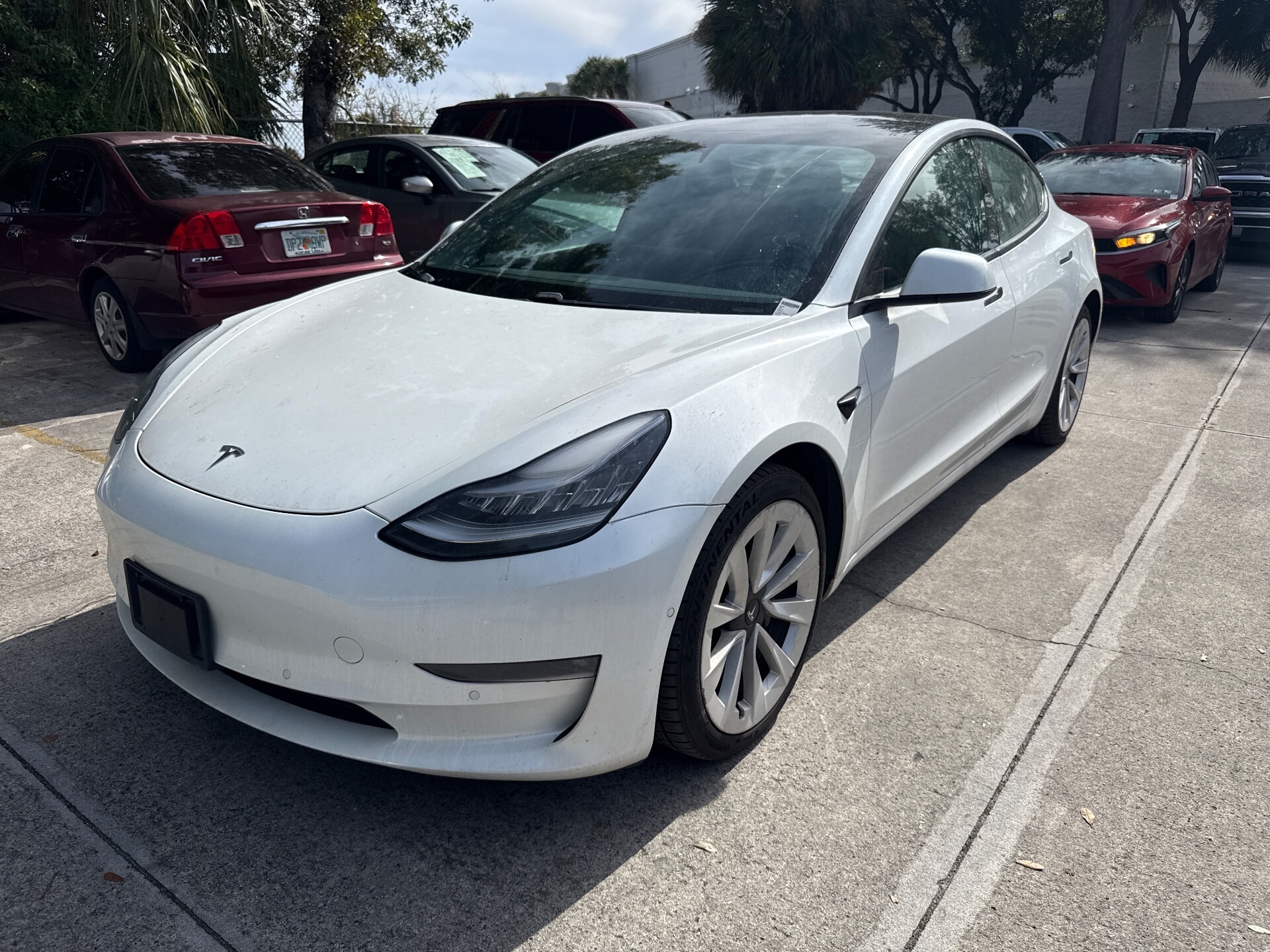 2021 Tesla Model 3 Base's photo