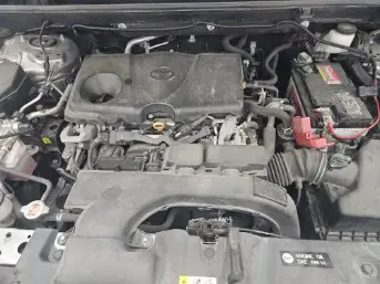 Florida Fine Cars - Used TOYOTA RAV4 2020 WEST PALM XLE