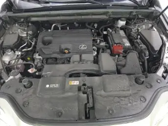 Florida Fine Cars - Used LEXUS NX 2024 MIAMI NX 250