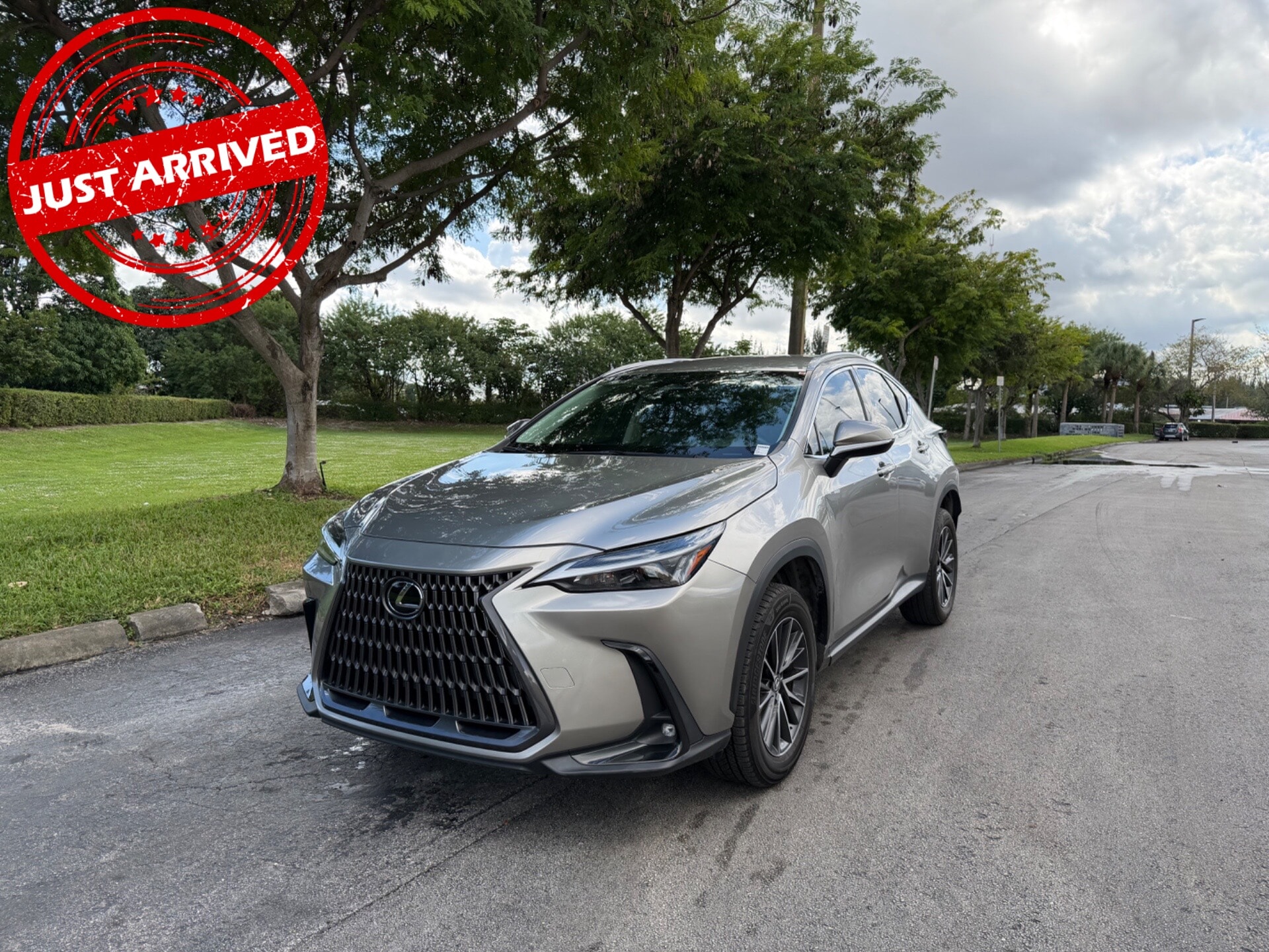 2024 Lexus NX 250's photo