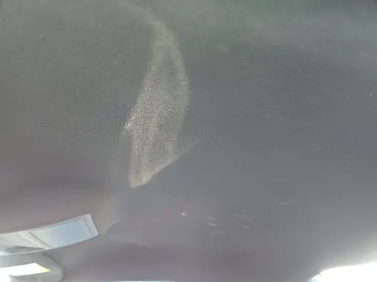 Florida Fine Cars - Used FORD MUSTANG 2024 ORLANDO ECOBOOST