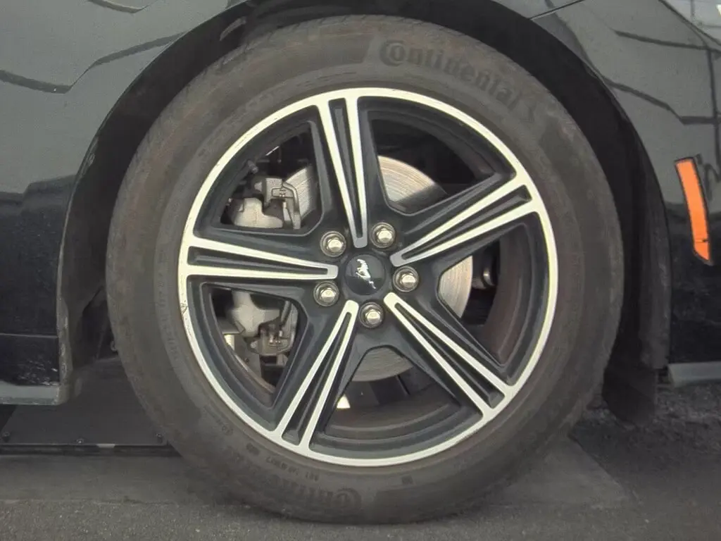 Florida Fine Cars - Used FORD MUSTANG 2024 ORLANDO ECOBOOST