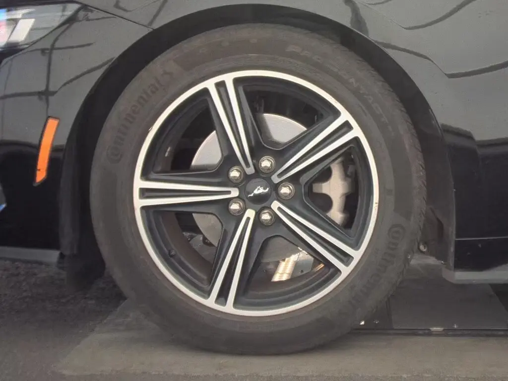 Florida Fine Cars - Used FORD MUSTANG 2024 ORLANDO ECOBOOST