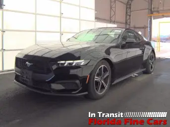 Florida Fine Cars - Used FORD MUSTANG 2024 ORLANDO ECOBOOST