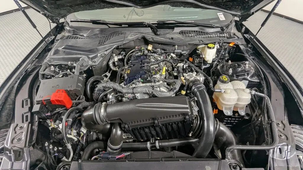 Florida Fine Cars - Used FORD MUSTANG 2024 ORLANDO ECOBOOST