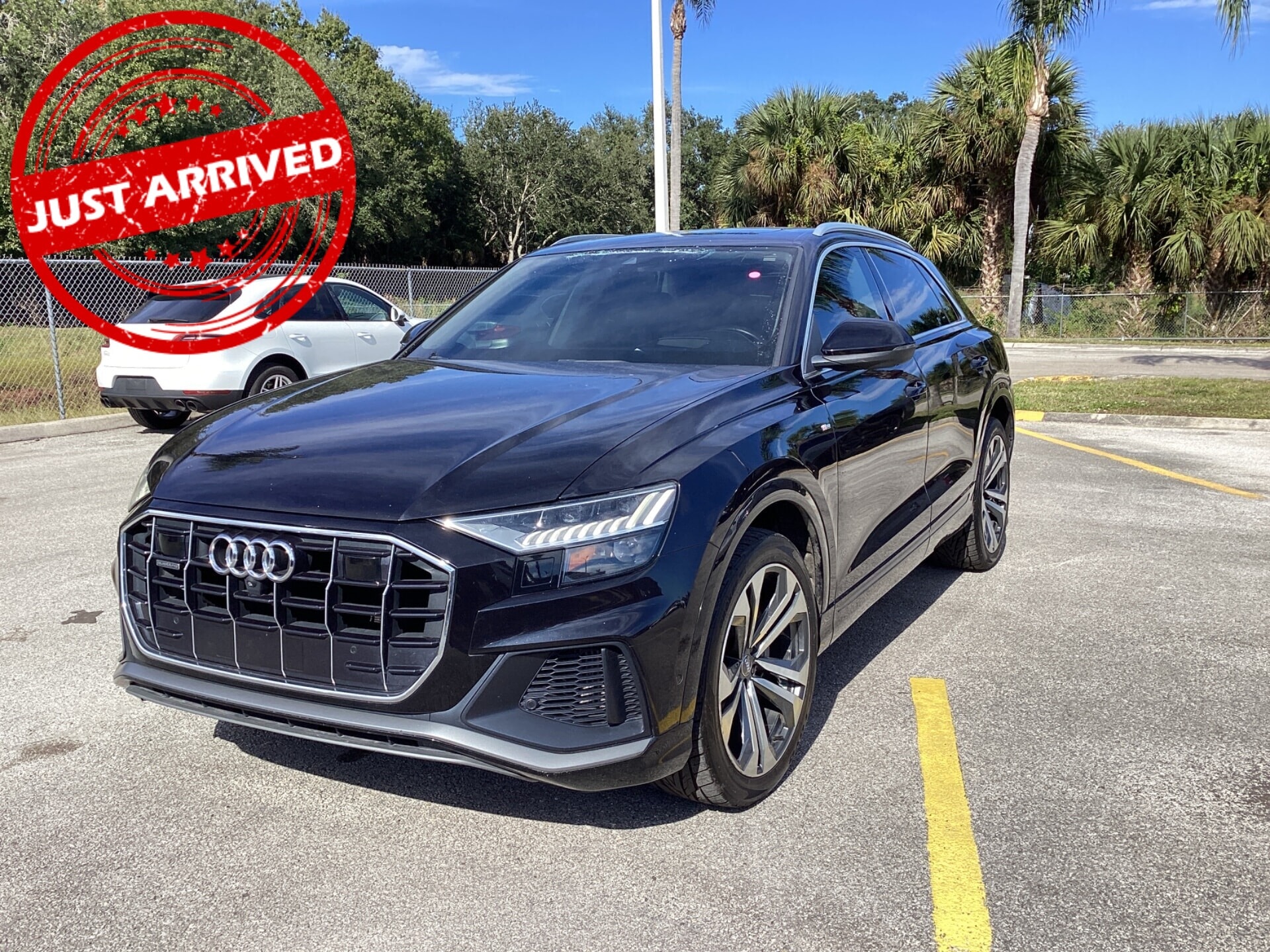 2020 Audi Q8 Prestige's photo