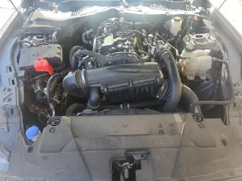 Florida Fine Cars - Used FORD MUSTANG 2024 MIAMI ECOBOOST