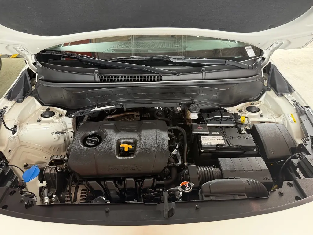 Florida Fine Cars - Used KIA SELTOS 2024 MIAMI EX