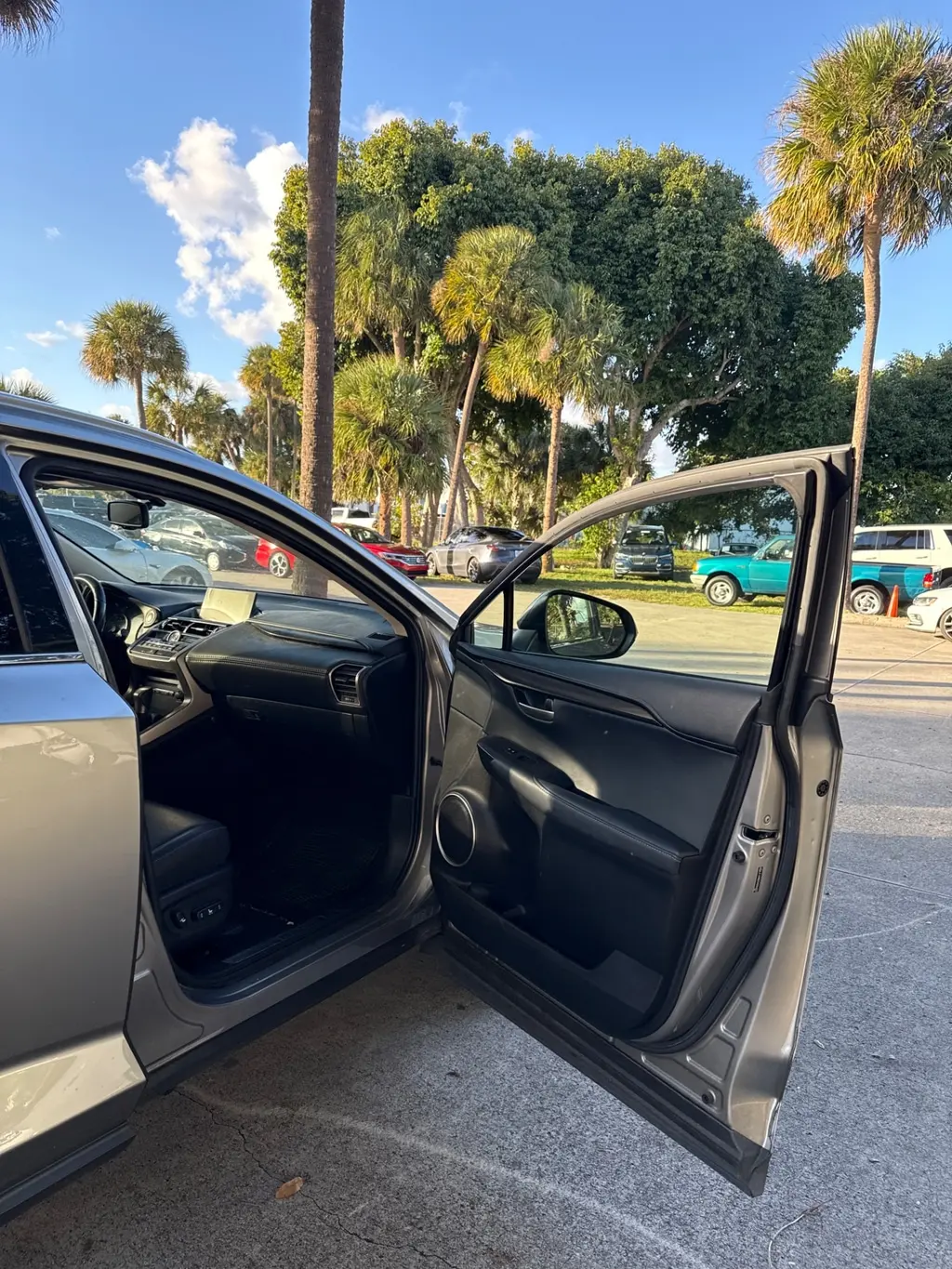 Florida Fine Cars - Used LEXUS NX 2017 WEST PALM NX TURBO