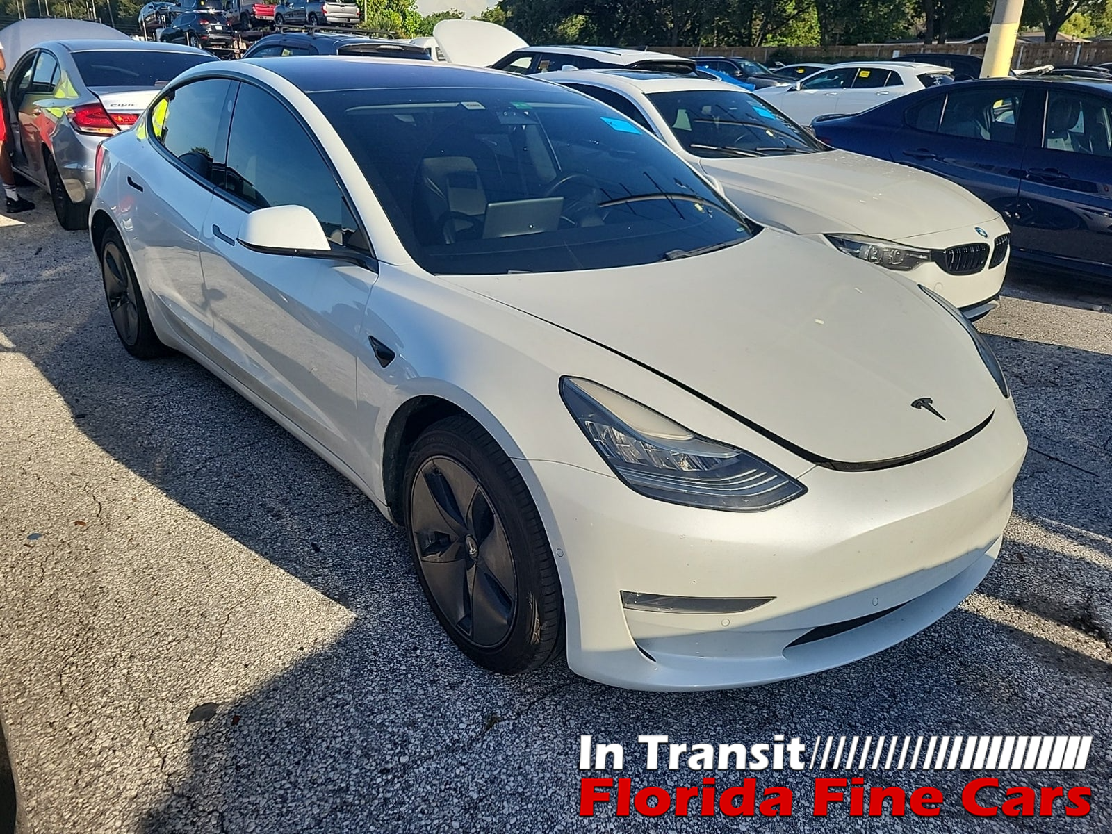 2019 Tesla Model 3 Base's photo