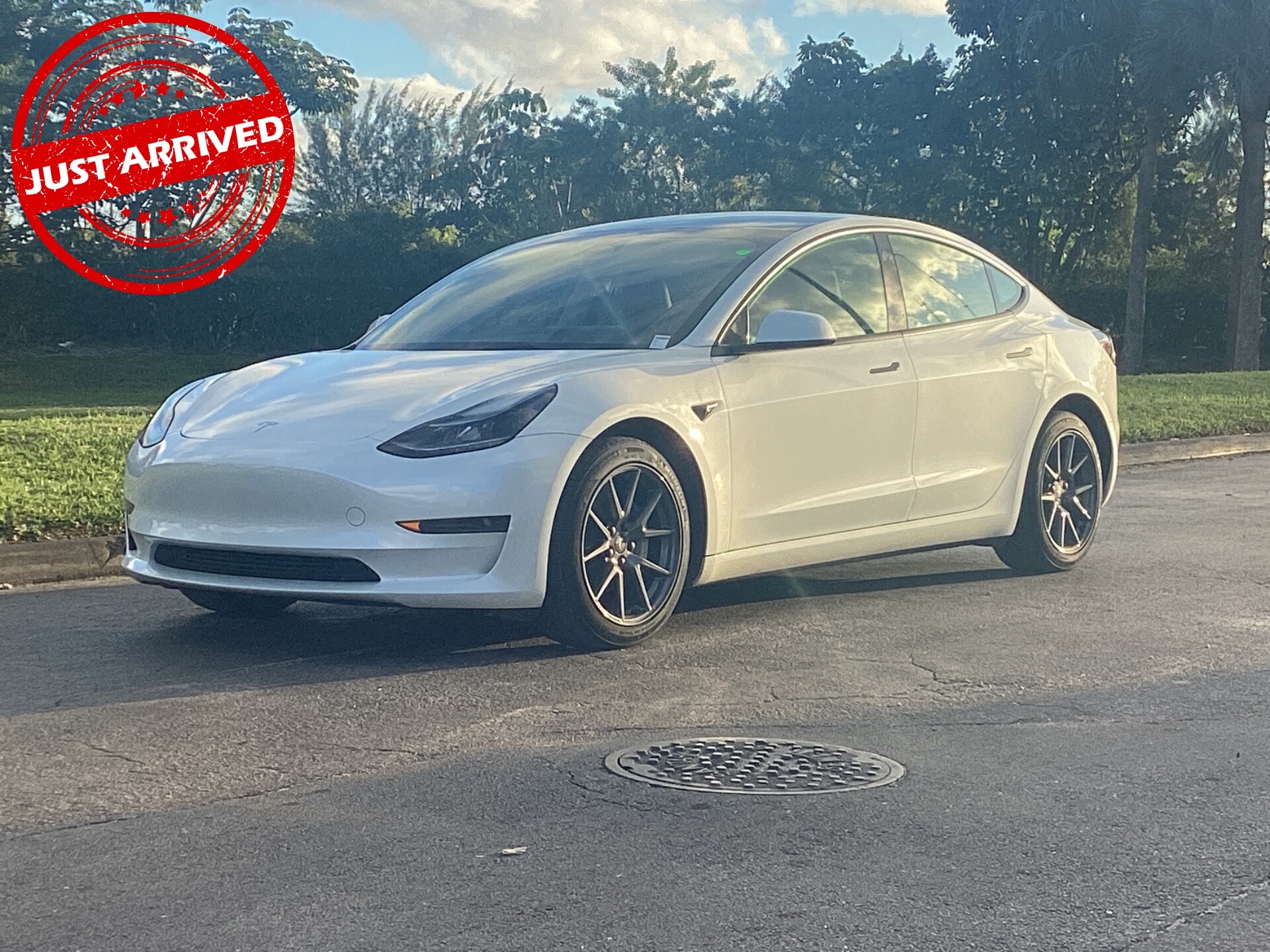 2023 Tesla Model 3 Base's photo