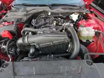 Florida Fine Cars - Used FORD MUSTANG 2024 ORLANDO ECOBOOST PREMIUM