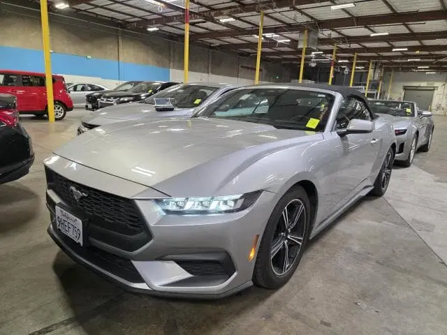 Florida Fine Cars - Used FORD MUSTANG 2024 ORLANDO ECOBOOST