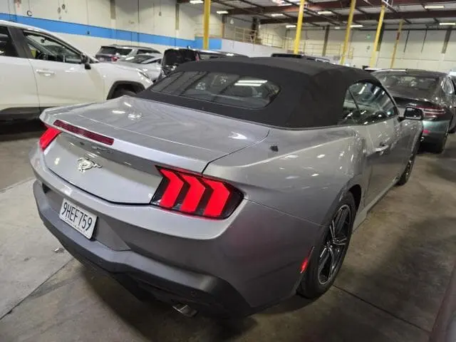 Florida Fine Cars - Used FORD MUSTANG 2024 ORLANDO ECOBOOST