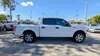 Florida Fine Cars - Used FORD F-150 2017 WEST PALM XLT SUPERCREW 5.5' BOX