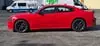 Florida Fine Cars - Used DODGE CHARGER 2023 MIAMI GT