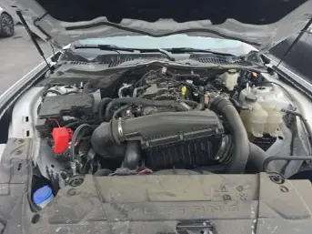 Florida Fine Cars - Used FORD MUSTANG 2024 ORLANDO ECOBOOST