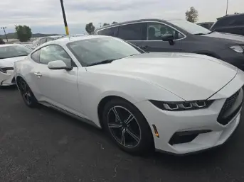 Florida Fine Cars - Used FORD MUSTANG 2024 ORLANDO ECOBOOST