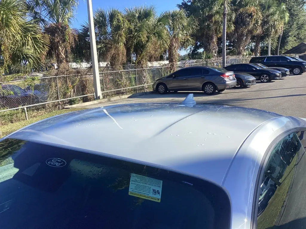 Florida Fine Cars - Used FORD MUSTANG 2024 ORLANDO ECOBOOST